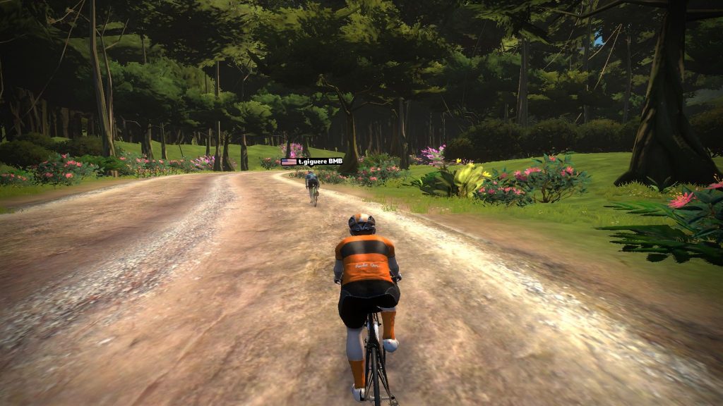 best zwift bike for jungle circuit